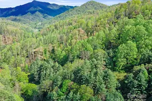 0 Fire Scald Rd, Green Mountain, NC 28740 - Photo 28