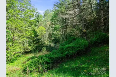 0 Fire Scald Road, Green Mountain, NC 28740 - Photo 20
