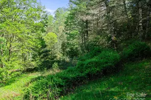 0 Fire Scald Rd, Green Mountain, NC 28740 - Photo 20