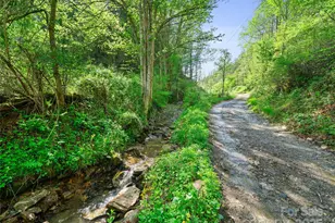 0 Fire Scald Rd, Green Mountain, NC 28740 - Photo 12