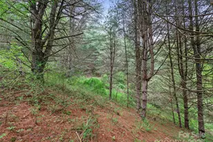 0 Fire Scald Rd, Green Mountain, NC 28740 - Photo 18