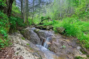 0 Fire Scald Rd, Green Mountain, NC 28740 - Photo 6