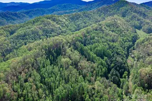 0 Fire Scald Rd, Green Mountain, NC 28740 - Photo 22