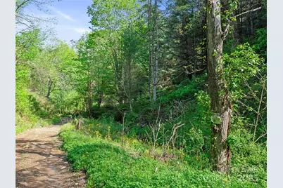0 Fire Scald Road, Green Mountain, NC 28740 - Photo 10
