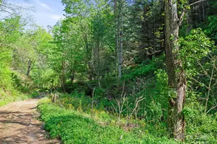 0 Fire Scald Rd, Green Mountain, NC 28740 - Photo 10