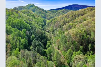 0 Fire Scald Road, Green Mountain, NC 28740 - Photo 24