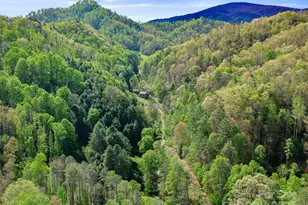 0 Fire Scald Rd, Green Mountain, NC 28740 - Photo 24