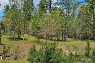 2109 Inlt Shr Rd NE, Connelly Springs, NC 28612 - Photo 32