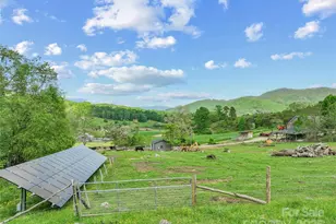 315 Morgan Branch Rd, Leicester, NC 28748 - Photo 2