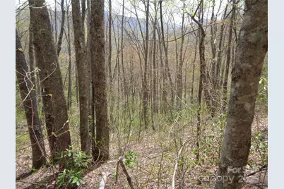 00 Bent Tree Road, Maggie Valley, NC 28751 - Photo 12