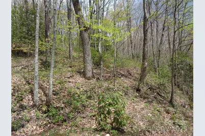 00 Bent Tree Road, Maggie Valley, NC 28751 - Photo 26
