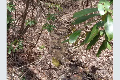 00 Bent Tree Road, Maggie Valley, NC 28751 - Photo 10