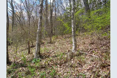 00 Bent Tree Road, Maggie Valley, NC 28751 - Photo 14