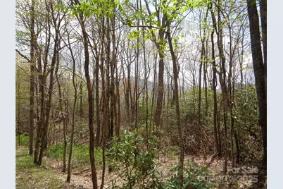 00 Bent Tree Road, Maggie Valley, NC 28751 - Photo 8