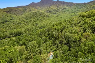 44 Sutton Knob Rd, Candler, NC 28715 - Photo 36