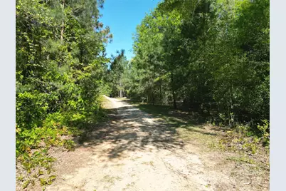 Tbd Goldenrod Drive, Carthage, NC 28327 - Photo 8