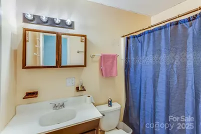 54 McIntosh Lane, Candler, NC 28715 - Photo 16