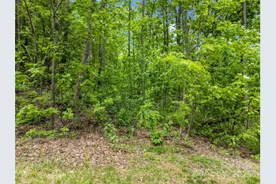 0 Ragans Pointe #31, Columbus, NC 28722 - Photo 2