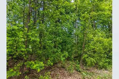 0 Ragans Pointe #31, Columbus, NC 28722 - Photo 4