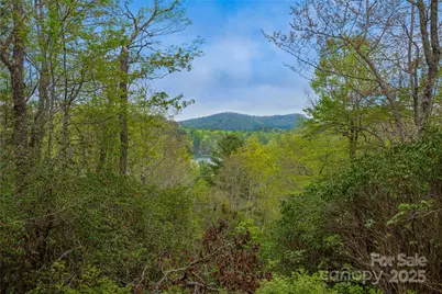 3539 West Club Boulevard, Lake Toxaway, NC 28747 - Photo 4