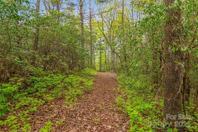 3539 West Club Boulevard, Lake Toxaway, NC 28747 - Photo 12