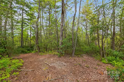 3539 West Club Boulevard, Lake Toxaway, NC 28747 - Photo 20