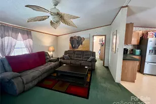 343 Daytona Ln, Saluda, NC 28773 - Photo 8