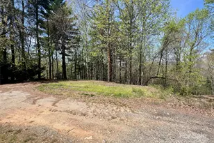 343 Daytona Ln, Saluda, NC 28773 - Photo 26