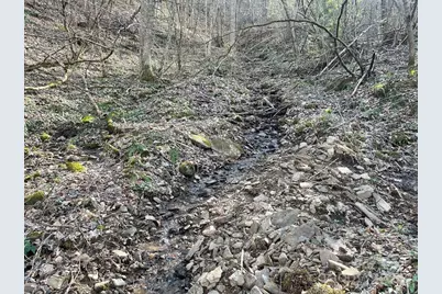 930 Copperhead Cove, Sylva, NC 28779 - Photo 42