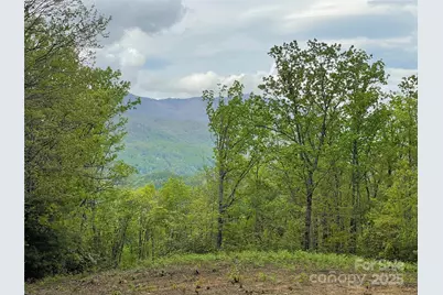 930 Copperhead Cove, Sylva, NC 28779 - Photo 16