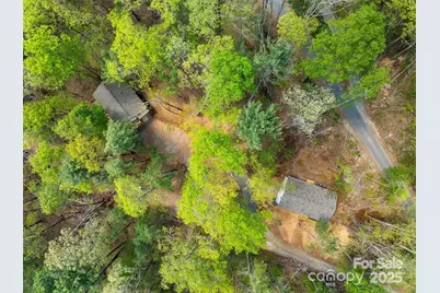 66 Avondale Heights Road, Asheville, NC 28803 - Photo 6