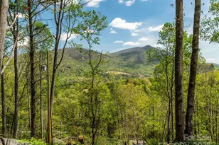 66 Avondale Heights Rd, Asheville, NC 28803 - Photo 20