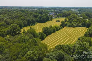 1040 Nc 90 Hwy W, Taylorsville, NC 20681 - Photo 22