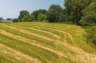 1040 Nc 90 Hwy W, Taylorsville, NC 20681 - Photo 10