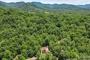 19 Frontier Ct, Asheville, NC 28805 - Photo 38