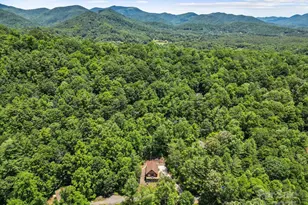 19 Frontier Ct, Asheville, NC 28805 - Photo 38
