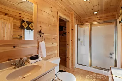 19 Frontier Court, Asheville, NC 28805 - Photo 14