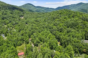 19 Frontier Ct, Asheville, NC 28805 - Photo 40