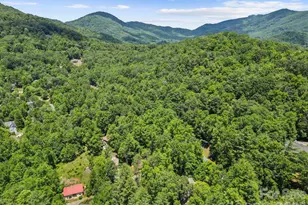 19 Frontier Ct, Asheville, NC 28805 - Photo 40