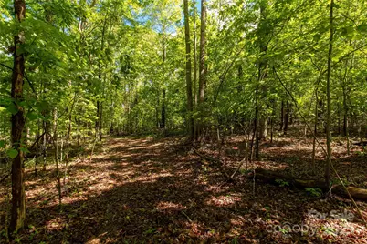 5212 Star Magnolia Court, Clover, SC 29710 - Photo 6