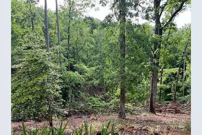 137 Amys Ridge Road, Lake Lure, NC 28746 - Photo 10