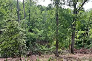 137 Amys Ridge Rd, Lake Lure, NC 28746 - Photo 10