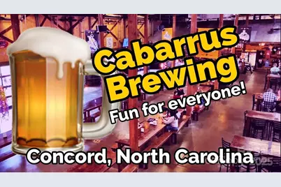 169 Freeze Avenue NW, Concord, NC 28025 - Photo 38