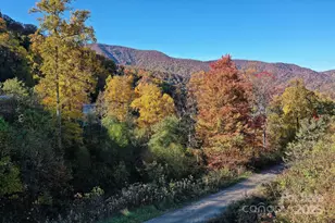 12 Lila Ln, Leicester, NC 28748 - Photo 32