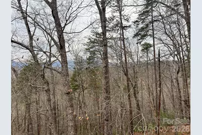 132 Egret Road, Lake Lure, NC 28746 - Photo 48