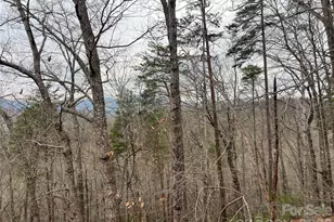 132 Egret Rd, Lake Lure, NC 28746 - Photo 48