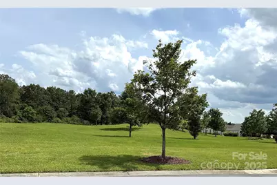 31470 Royal Tern Lane, Indian Land, SC 29707 - Photo 8