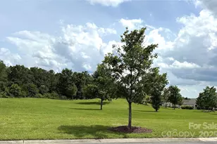 31470 Royal Tern Ln, Indian Land, SC 29707 - Photo 8