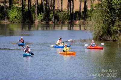 31470 Royal Tern Lane, Indian Land, SC 29707 - Photo 38