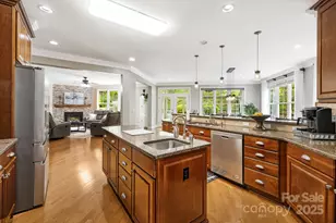 14 La Rue Ct, Biltmore Lake, NC 28715 - Photo 8